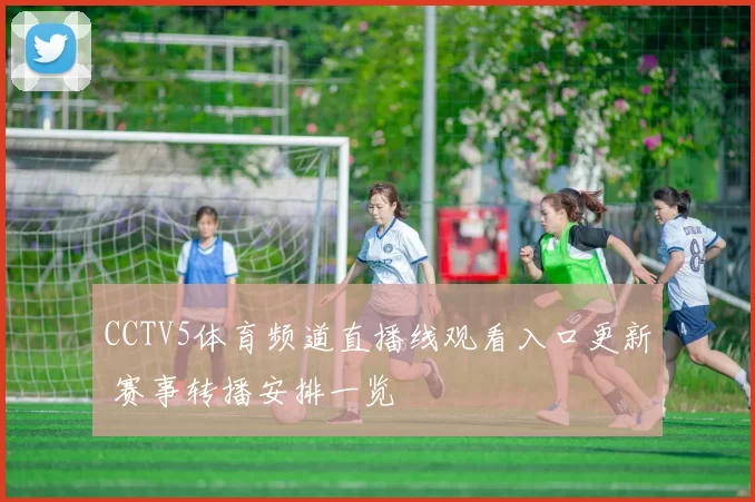 CCTV5体育频道直播线观看入口更新 赛事转播安排一览